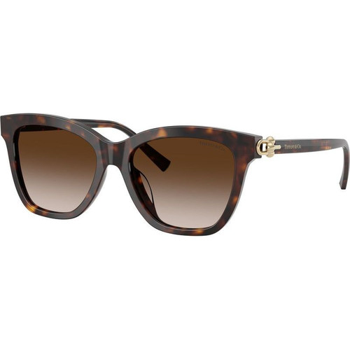 Tiffany & Co. TF4241D Havana Brown Gradient Angle