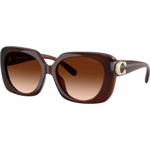 Coach HC8422U Milky Hazelnut Brown Gradient Angle