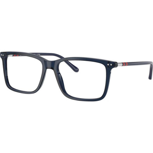 Polo Ralph Lauren Glasses PH2287 Transparent Blue Angle