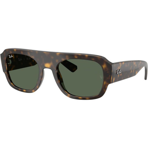 Ray-Ban RB2218 Havana Green Angle