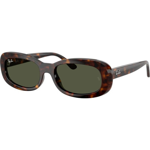 Ray-Ban RB2221 Havana Green Angle