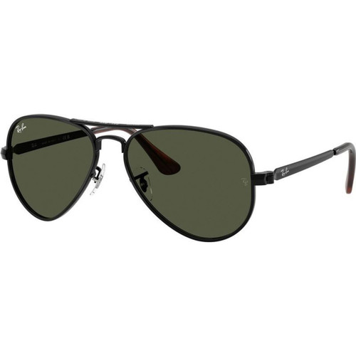 Ray-Ban Aviator Max RB3925 Black Green Angle
