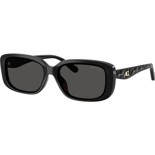 Coach HC8444D Black Grey Angle