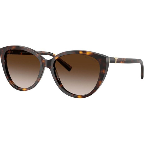 Tiffany & Co. TF4251 Havana Brown Gradient Angle