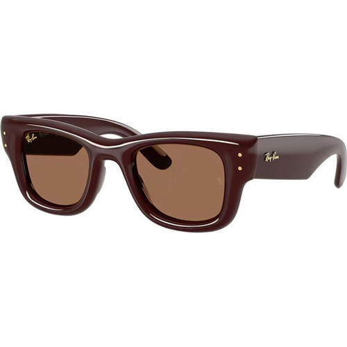 Ray-Ban Wayfarer Puffer RB4940 Dark Brown Dark Brown Angle