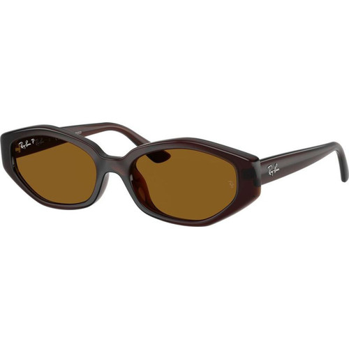 Ray-Ban RB4473D Dark Brown Brown Polarised Angle