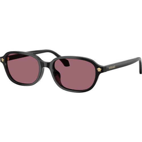 Versace VE4514D Black Violet Angle