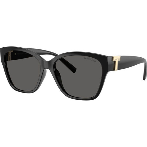 Tiffany & Co. TF4254U Black Dark Grey Angle