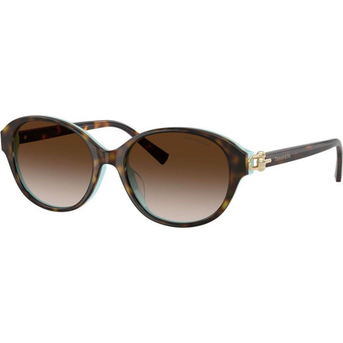 Tiffany & Co. TF4263D Havana Tiffany Blue Brown Gradient Angle