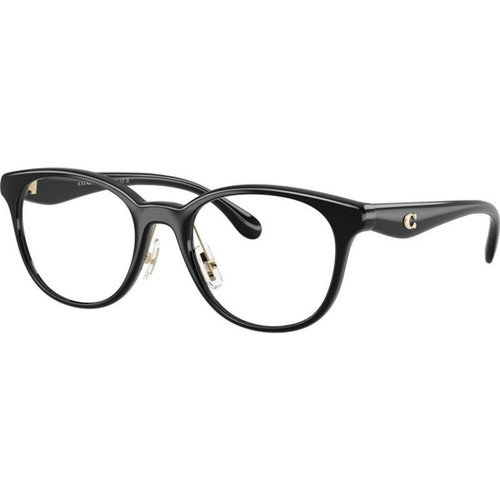 Coach Glasses HC6249D Black Clear Angle