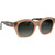 D'Blanch Champagne Coast Tan Grey Gradient Angle