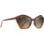 Maui Jim Lotus Chocolate Fade Angle