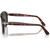 Persol PO0649 Havana Green Glass Temple