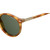 Polaroid P2086/S Havana Sunglasses Lens Image
