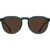Raen Remmy 49 Cirus Vibrant Brown Polarised Front