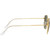 Ray-Ban Frank RB3857 Legend Gold G15 Polarised Temple