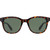Carve Homeland Gloss Tort Green Polarised Front