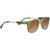 Serengeti Amboy Dark Gunmetal Olive front image