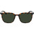 Dragon Ziggy Tort Front