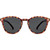 Carve Oslo Gloss Tort Grey Polarised Front