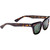 Epokhe Stereo Polished Tortoise Green Polarised Angle