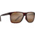 Maui Jim Pailolo Tortoise Angle