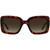Kate Spade Bellamy Havana Sunglasses Front Image