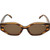 ROC Trait Brown striped brown front angle image