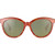 Serengeti Endee shiny tort