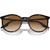 Ray-Ban RB2204 Havana Light Brown Front Folded