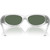 Arnette Catfish AN4302 Metallic Silver Dark Green Petrol Mirror Inner Frame