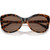 Vogue Eyewear VO5155SB Dark Havana Dark Brown Front Folded