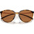 Oakley Sielo Brown Tortoise Prizm Bronze Polarised Front Folded