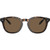 Polo Ralph Lauren PH4206 Shiny Dark Havana Sunglasses Front Image