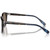 Polo Ralph Lauren PH4206 Shiny Dark Havana Sunglasses Temple Image