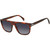 David Beckham DB 7111/S Brown Horn Sunglasses Angle Image