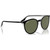 Ray-Ban RB2204 Black on Transparent Angle