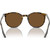 Ray-Ban RB2204 Havana on Transparent Inner Frame