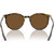 Ray-Ban RB2204 Havana on Transparent Inner Frame