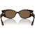 Jimmy Choo JC5015U Havana Inner Frame