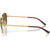 Ray-Ban RB3733 Arista Brown Gradient Polarised Temple