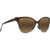 Maui Jim Olu Olu Translucent Dark Chocolate HCL Angle