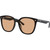 Ray-Ban RB4423D Black Brown Angle