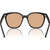 Ray-Ban RB4423D Black Brown Inner Frame