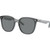 Ray-Ban RB4423D Transparent Grey Angle