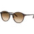 Ray-Ban Bernard RB2230 Havana Angle