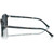 Ray-Ban Raimond RB2231 Transparent Fantasy Blue Grey Temple