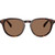 PH4221 Shiny Brown Tortoise