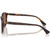 PH4221 Shiny Brown Tortoise