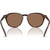PH4221 Shiny Brown Tortoise